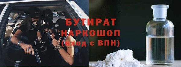 стаф Алзамай