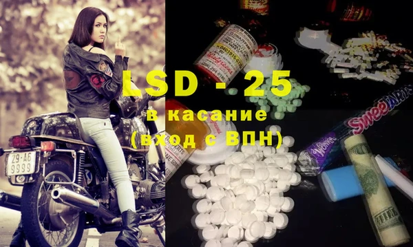 стаф Алзамай