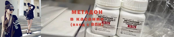 стаф Алзамай